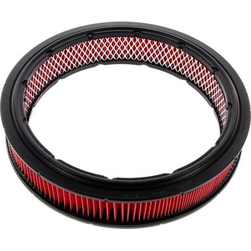 Repco — Premium REPCO RAF30 AIR FILTER. Designed for high-performance efficiency and durability. — part number RAF30