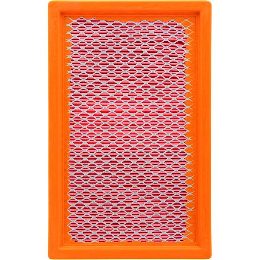 Repco — Premium REPCO RAF389 AIR FILTER. Designed for high-performance efficiency and durability. — part number RAF389