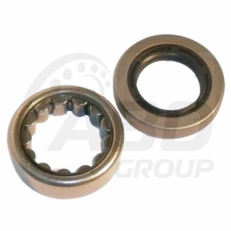 Auckland Bearing Dst — ABD Wheel Bearing Kit — part number AB6601