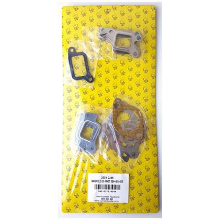 Kiwi — MANIFOLD GASKET SET — part number 25040246
