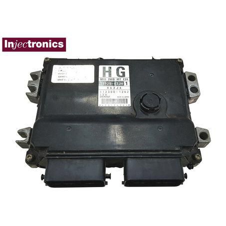 Injectronics — Injectronics ECM Repair — part number ECMSWIREP
